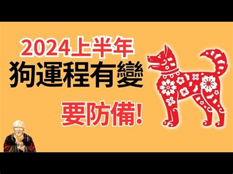 寺觀之狗|80歲高僧說了：屬狗人的晚年「心驚肉跳」，家有狗狗的看看吧？。